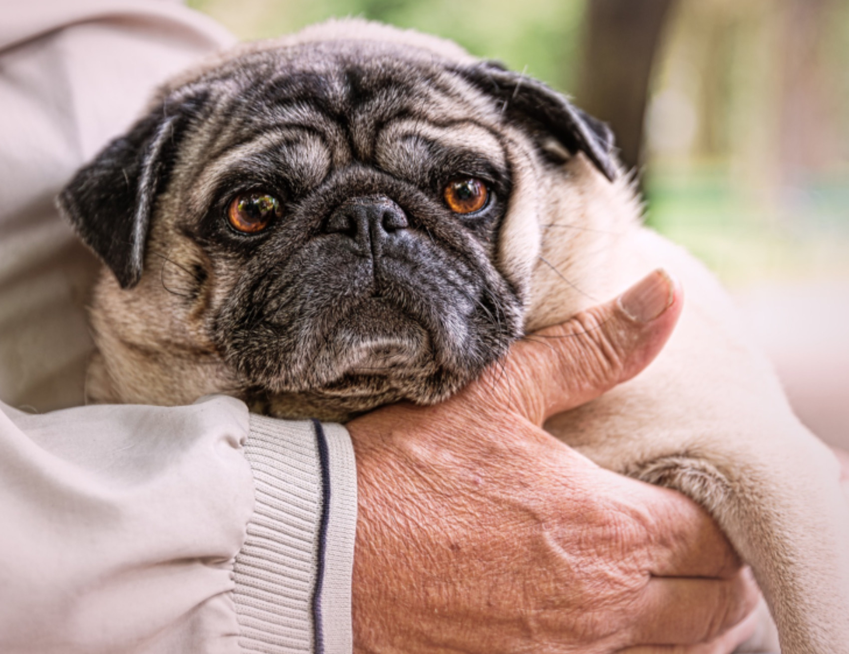 Uomo abbraccia il cane