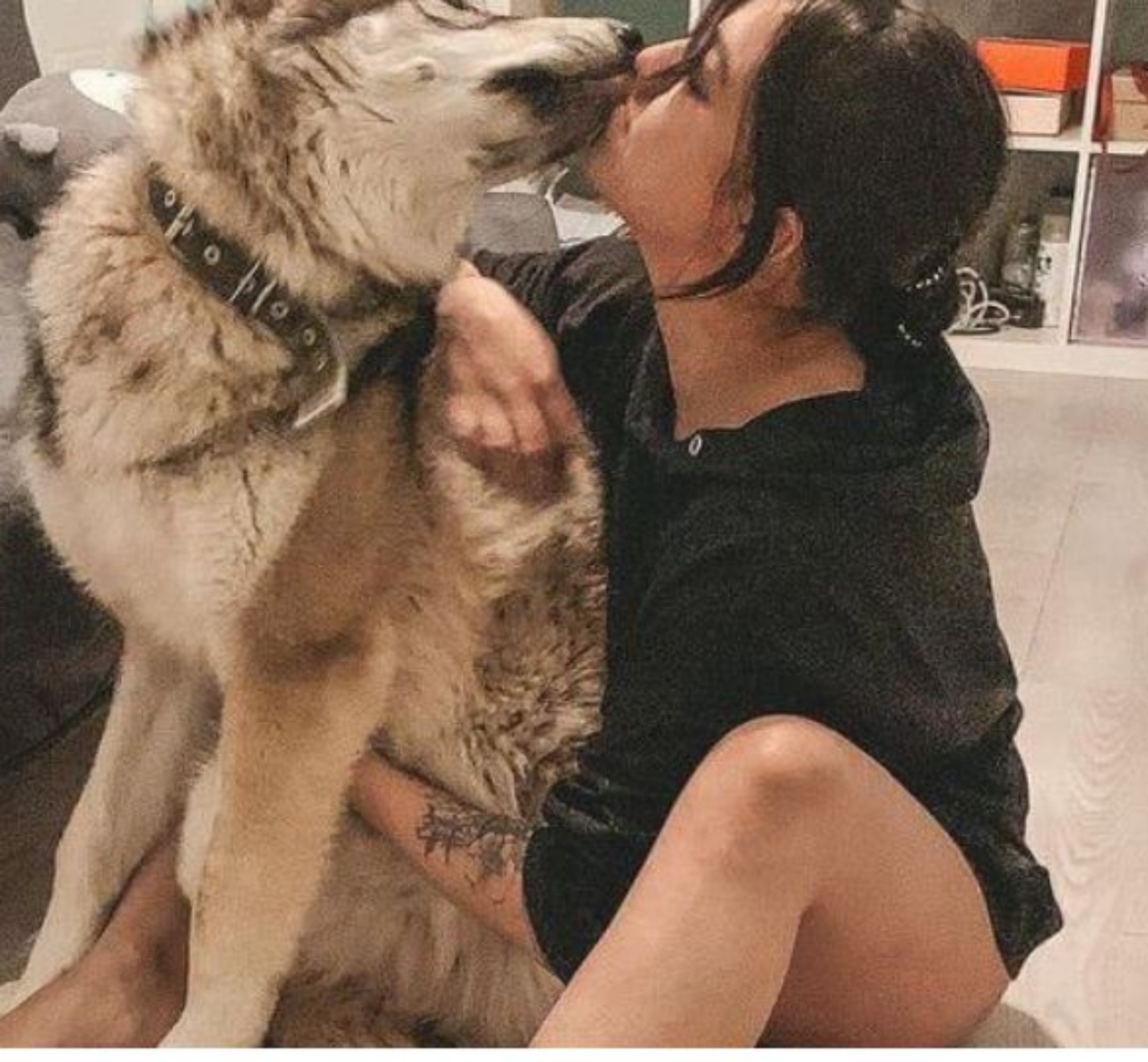 Un lupo di nome Kira con una donna
