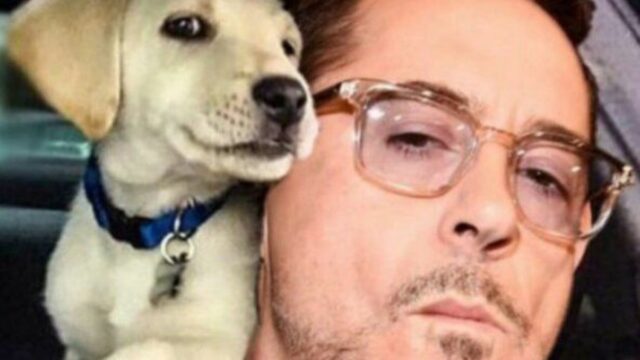 L’attore Robert Downey Junior confessa di non poter vivere senza animali e soprattutto senza cani