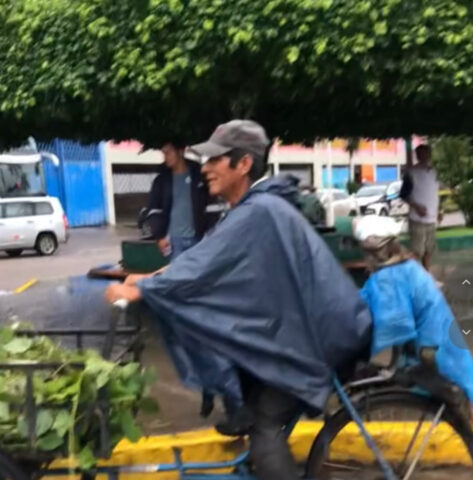 L’uomo protegge dalla pioggia il suo amico cane usando una busta di plastica