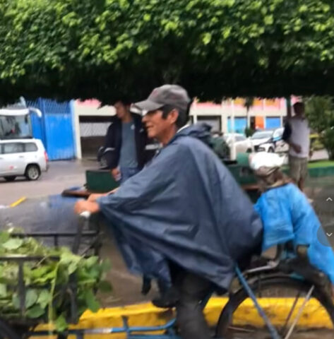 L’uomo protegge dalla pioggia il suo amico cane usando una busta di plastica