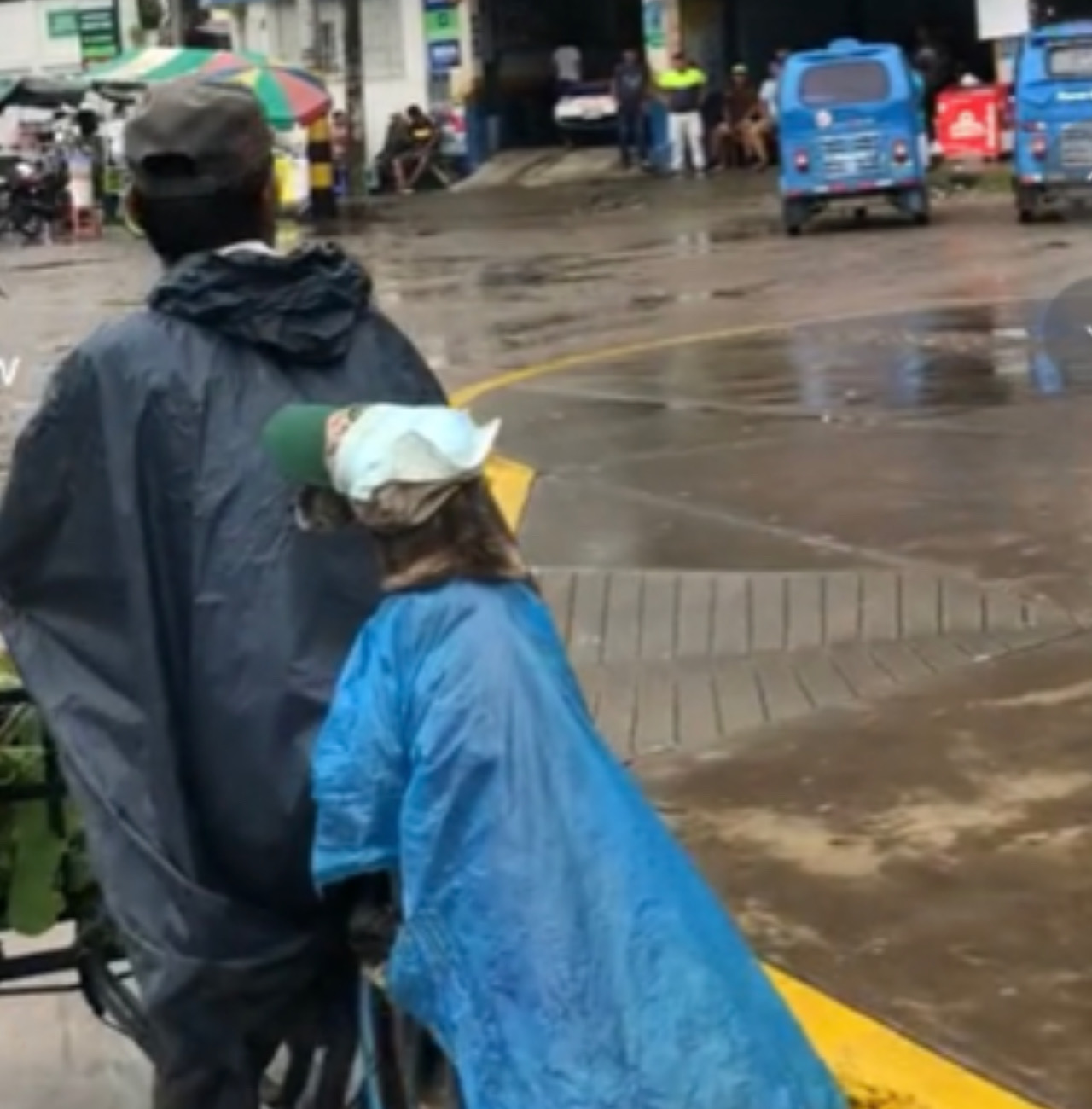 Cane in bici con il suo umano