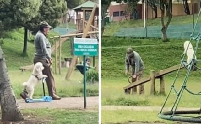 Quest’uomo ha deciso di portare il suo cane al parco usando un mezzo a dir poco insolito (VIDEO)