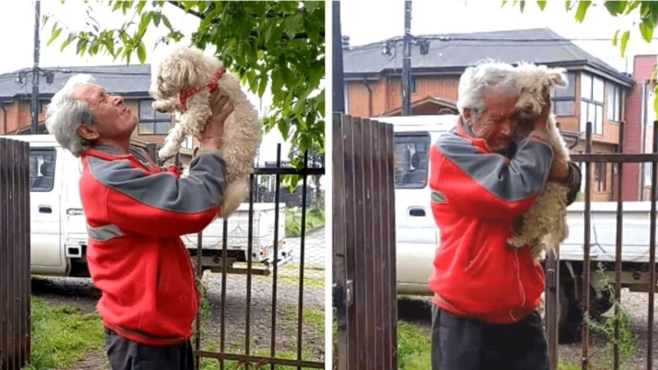 cane abbraccia uomo anziano