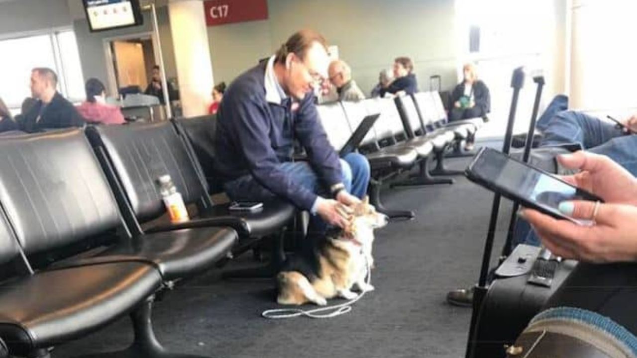 cane consola uomo in aeroporto