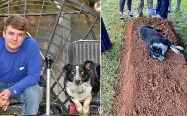 Questo cane non ha mai voluto abbandonare la tomba del ragazzo di 22 anni che lo aveva adottato