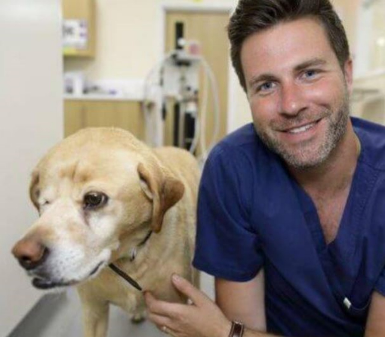 Un Labrador Retriever insieme a James