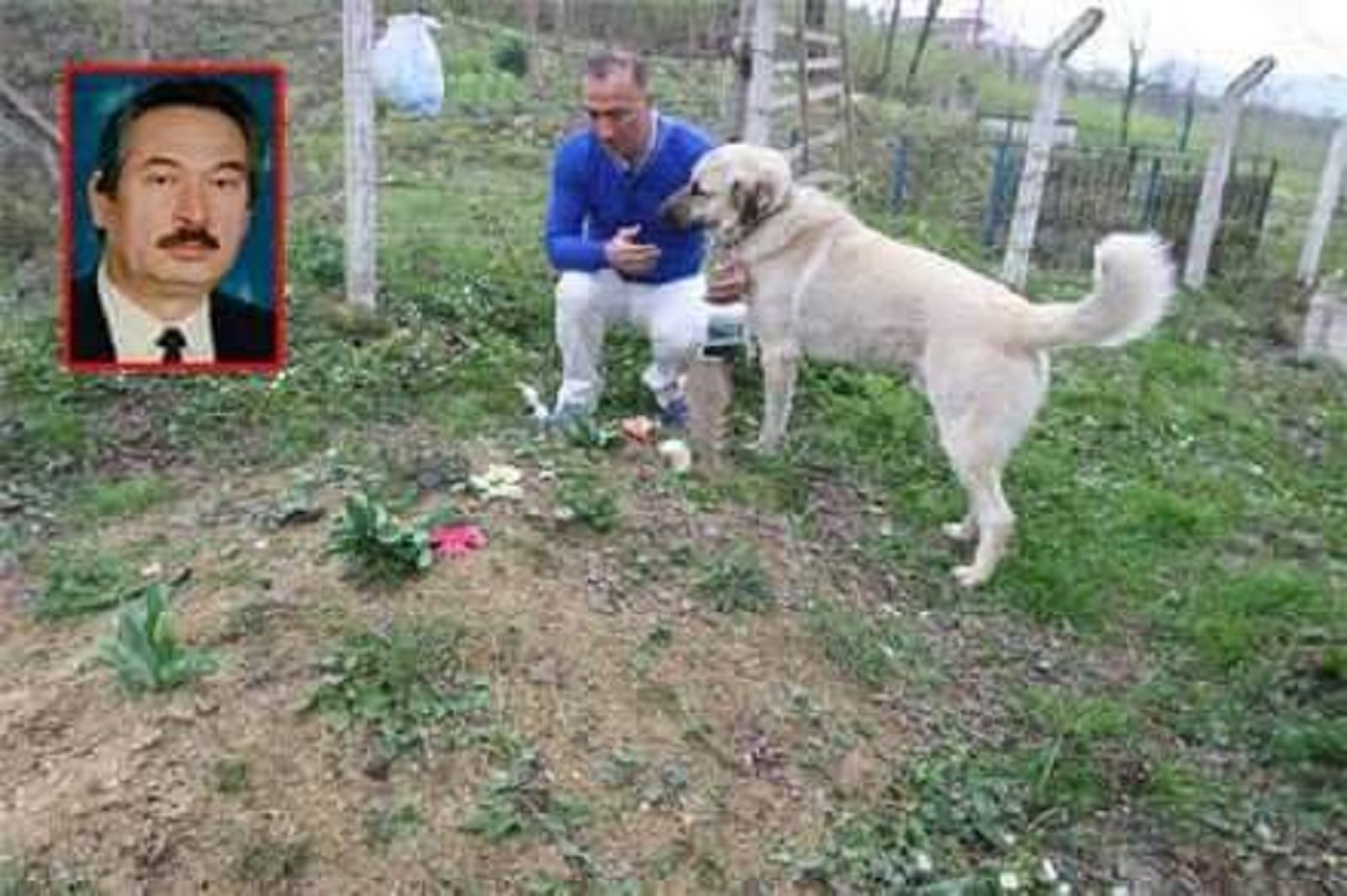 Cane in visita al cimitero