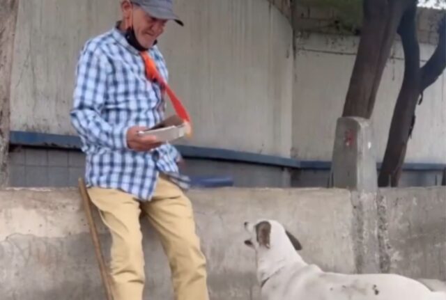 Gli offrono una casa, ma il senzatetto risponde: “Preferisco vivere in strada con la mia cagnolina”