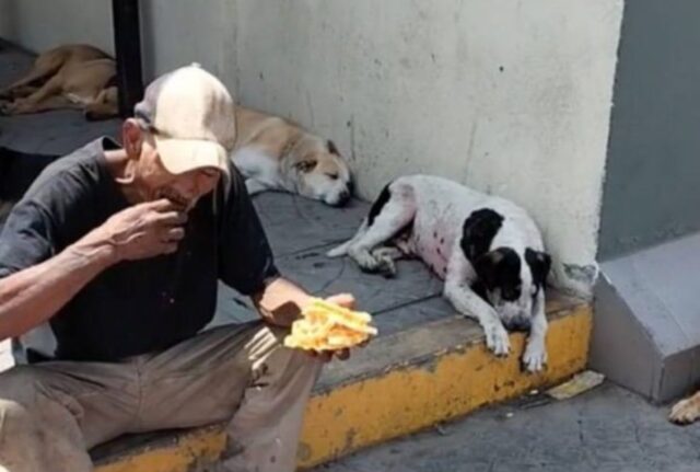 Anziano e senza una casa, quest’uomo si prende comunque cura di 60 cani randagi