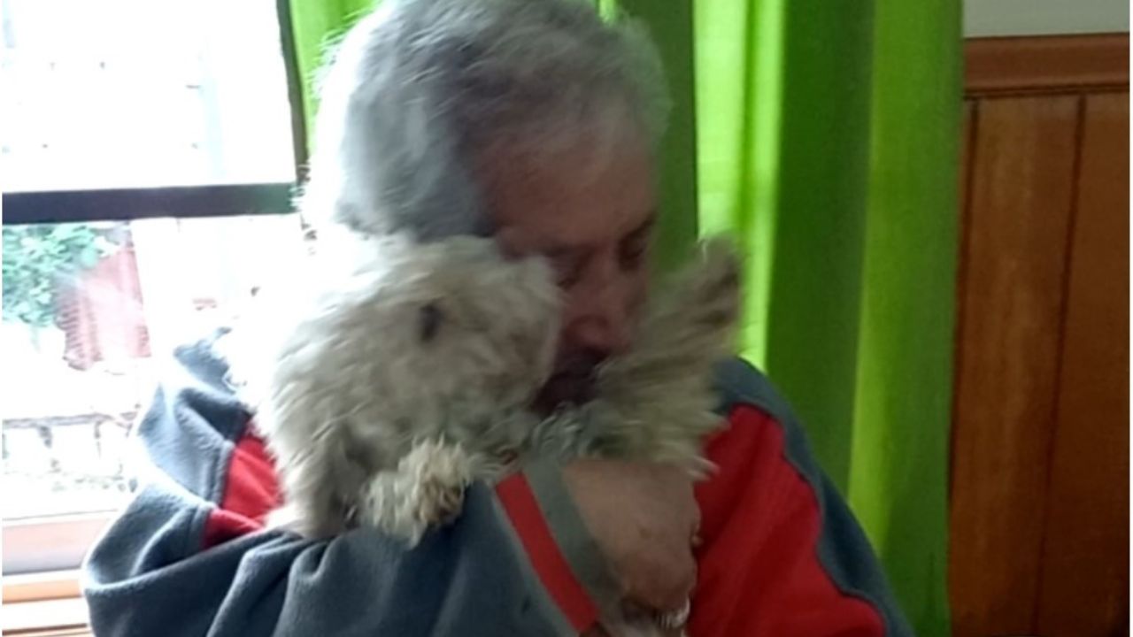 cane insieme ad un uomo con la tuta rossa