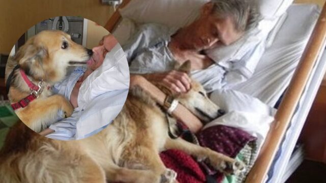 Paziente d'ospedale col suo cane