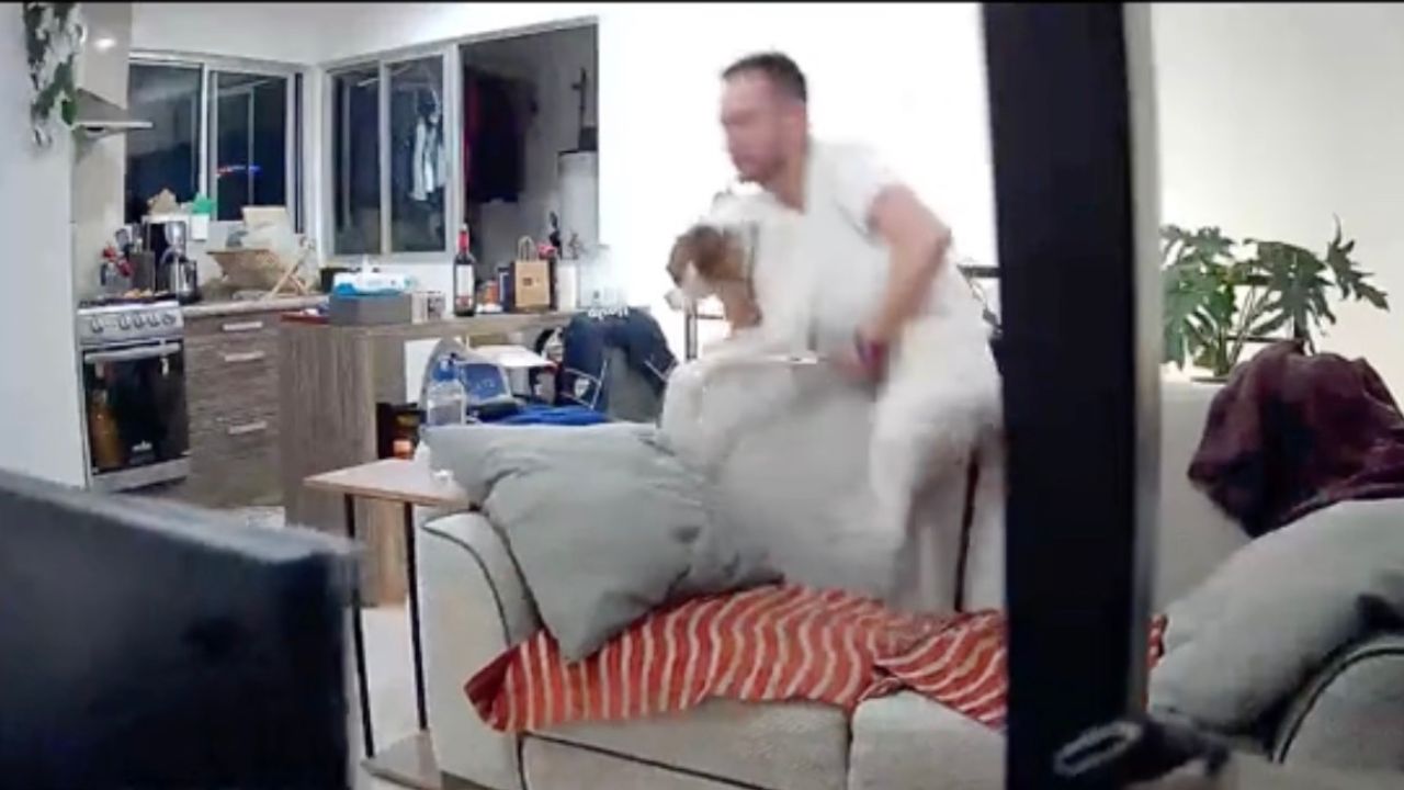 Uomo mette il suo cane al riparo dal terremoto