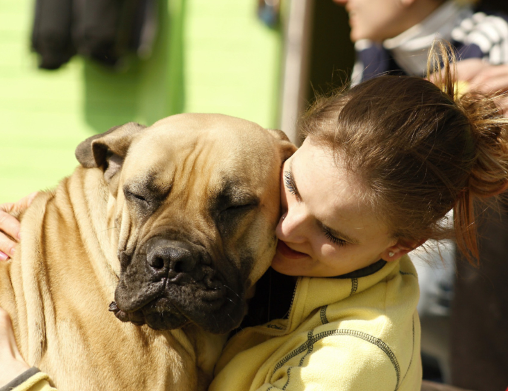 Umano coccola il cane