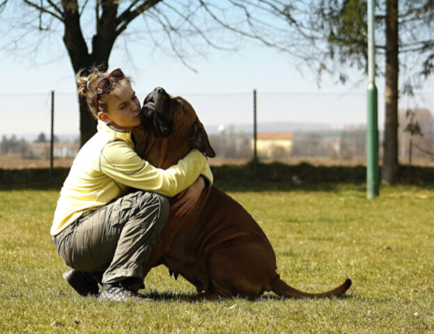 No, il tuo cane non ti salta addosso quando torni a casa perché gli sei mancato, lo dice un esperto