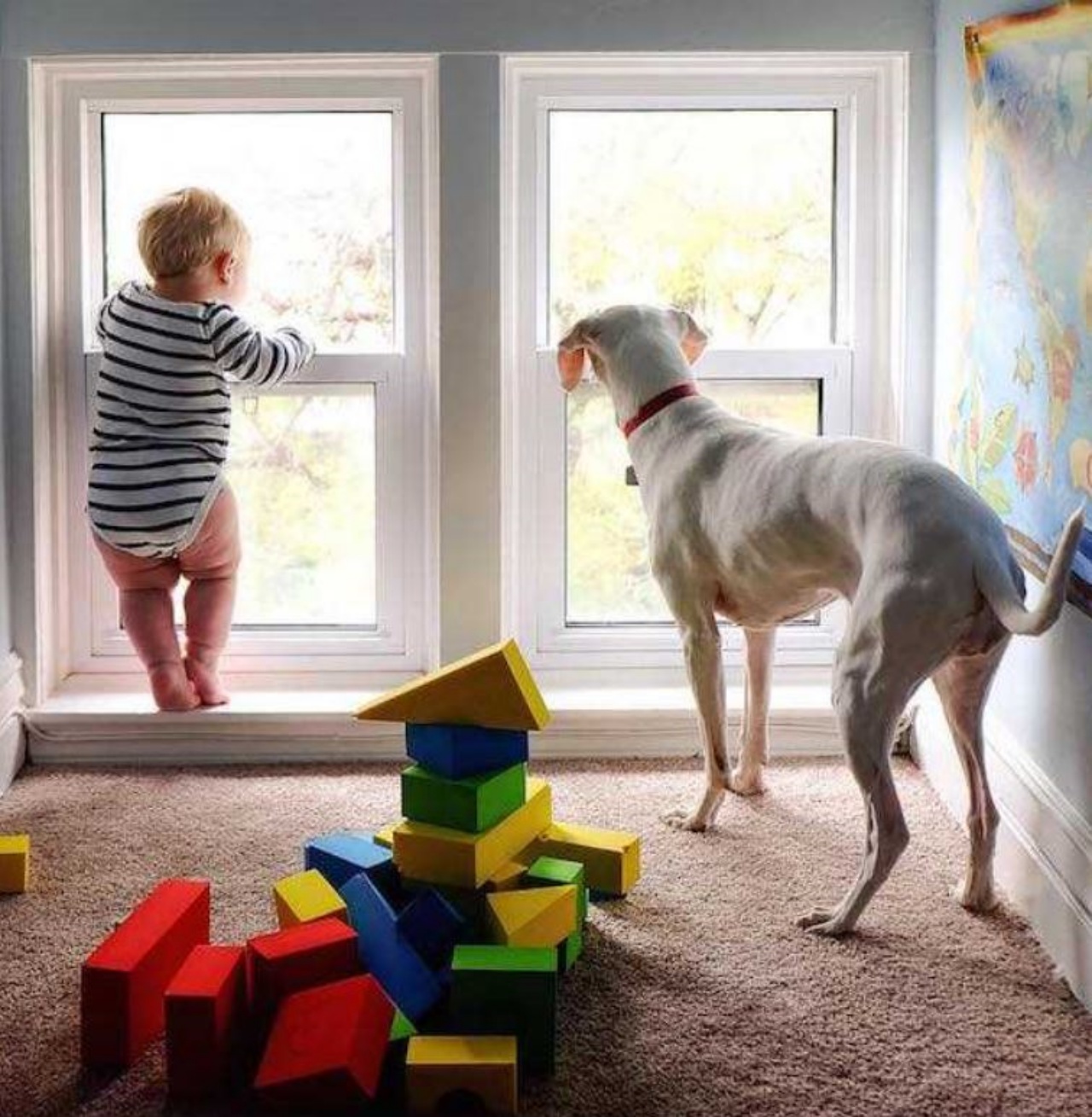 Un cane e un bambino che guardano fuori dalla finestra
