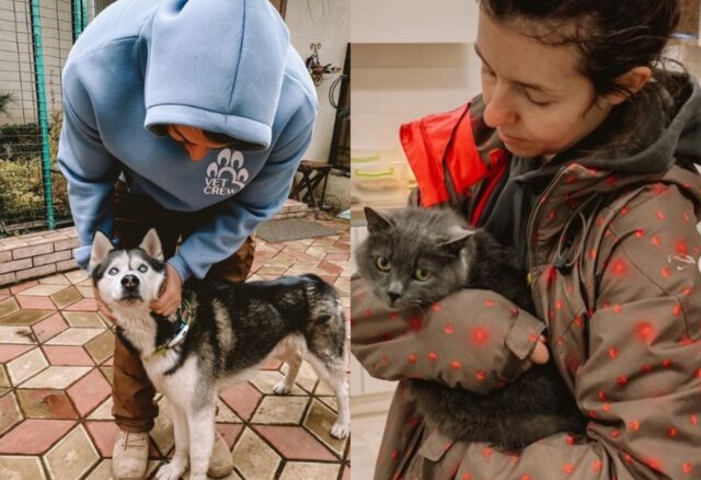 Questi veterinari in Ucraina rischiano la vita per salvare i cani in zona di guerra