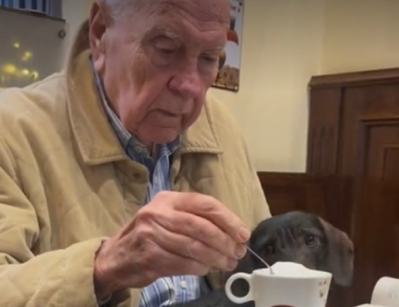 Umano mangia con il cane