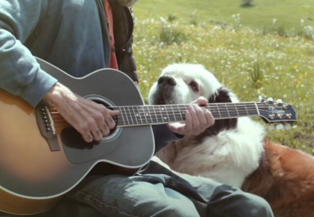 Questo è l’ultimo video che il suo papà ha registrato prima dell’addio, per salutare il suo amato cane