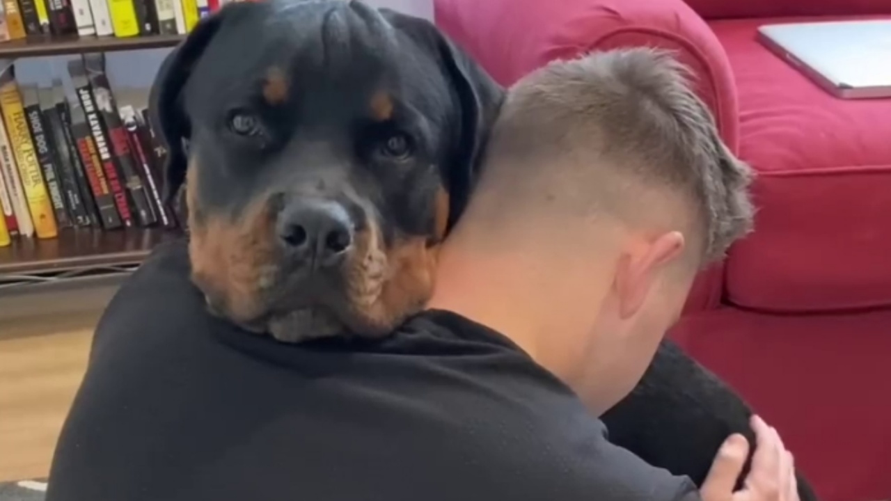 abbraccio cane e uomo