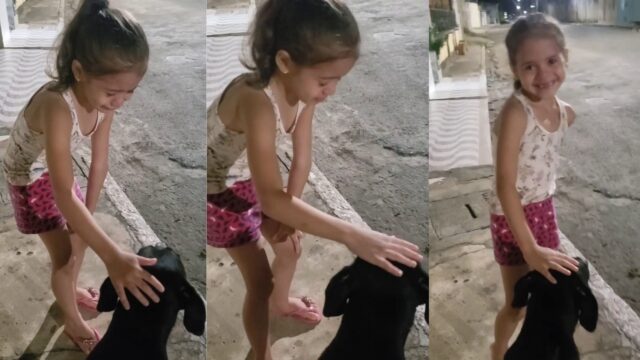 Bambina accarezza il cane in strada