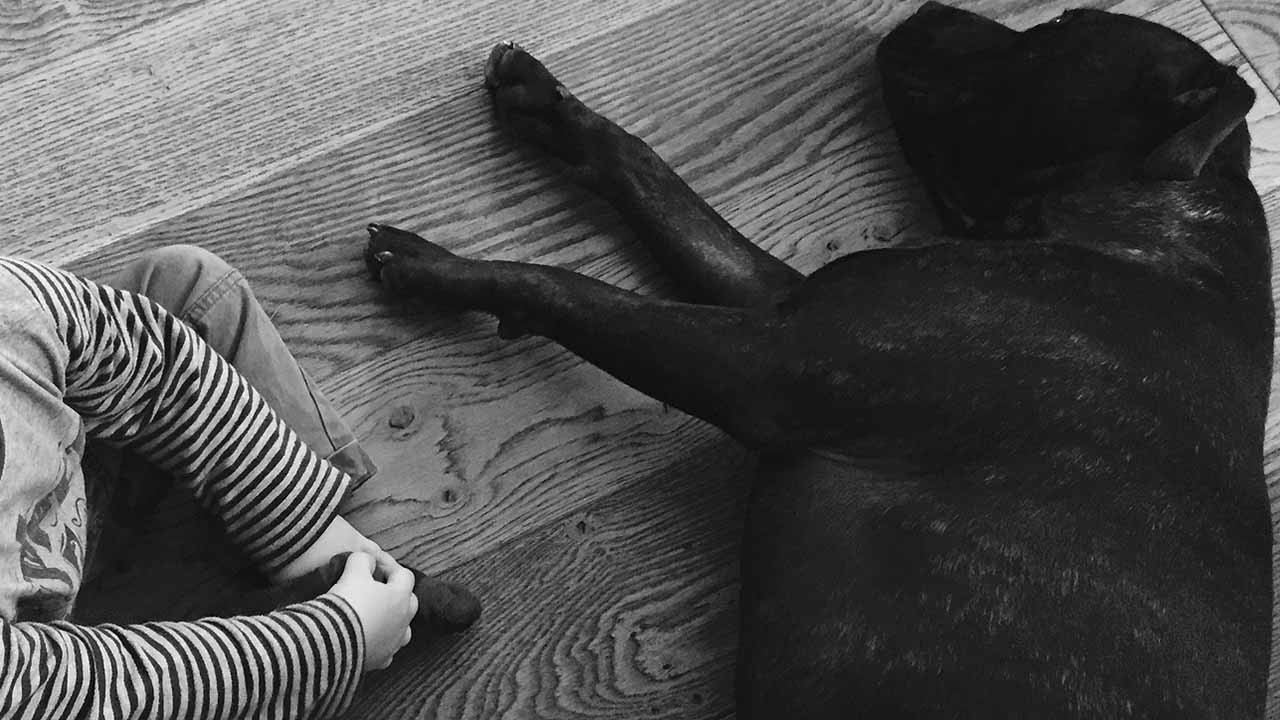 Bambino e cane sdraiato a terra