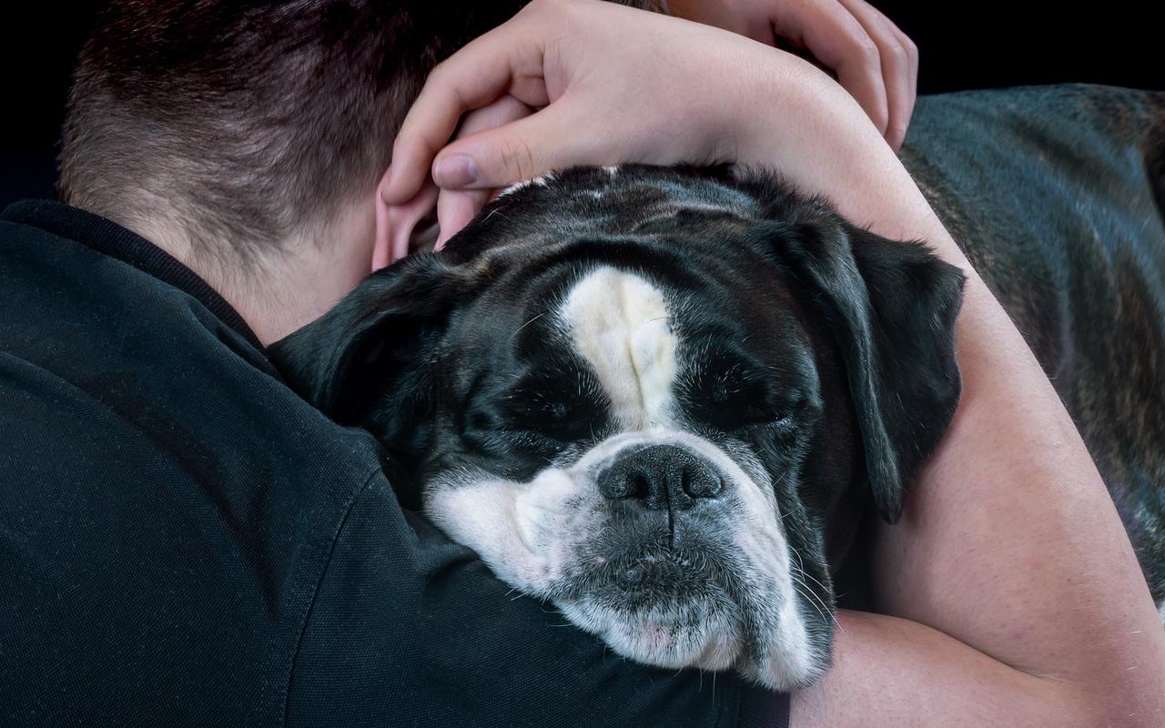 uomo che abbraccia teneramente il suo cane