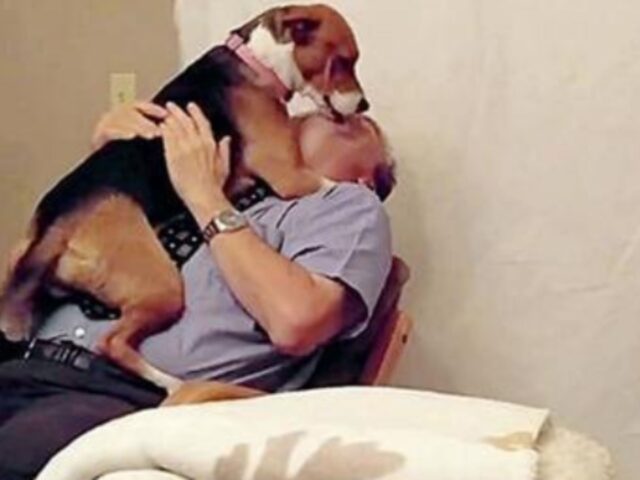 La cagnolina appena adottata riempie di baci il suo nuovo papà: le ha evitato l’eutanasia