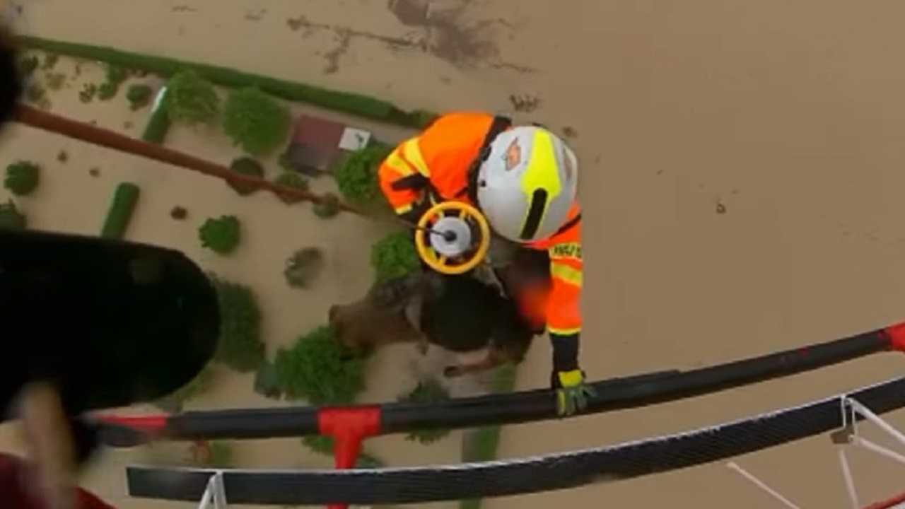 Salvataggio di un cane dall'alluvione