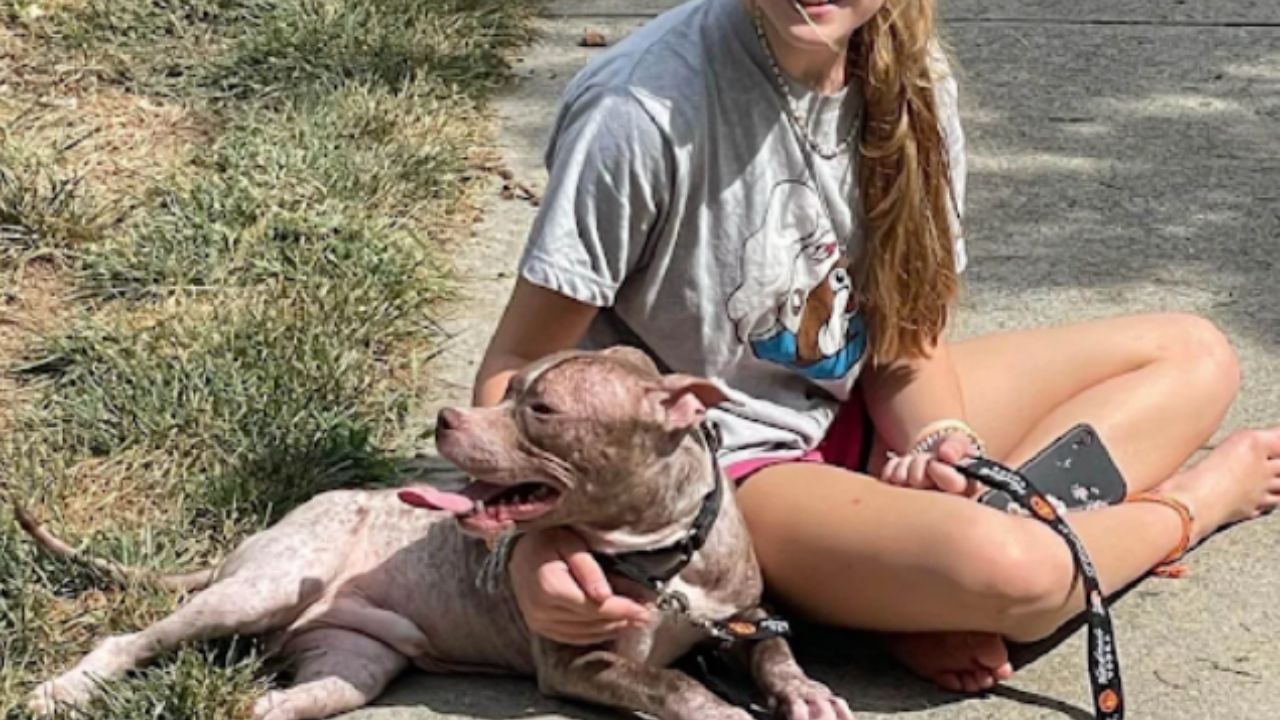 cagnolino con la sua padrona