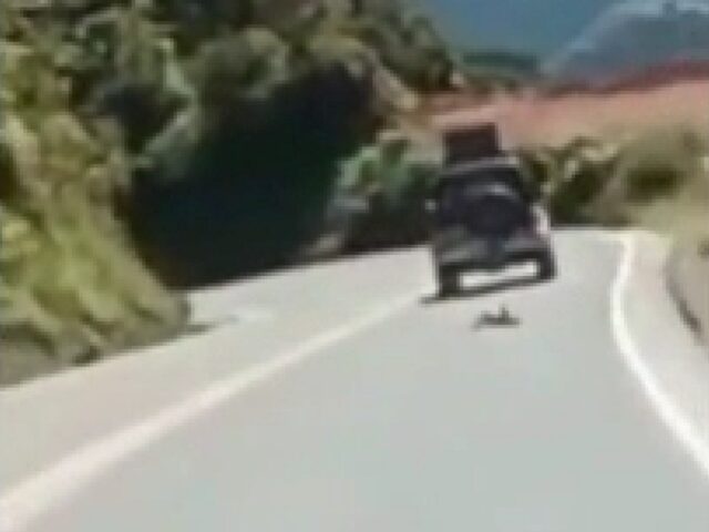 Cane gettato da un’auto in corsa adottato dal motociclista che ha filmato tutto