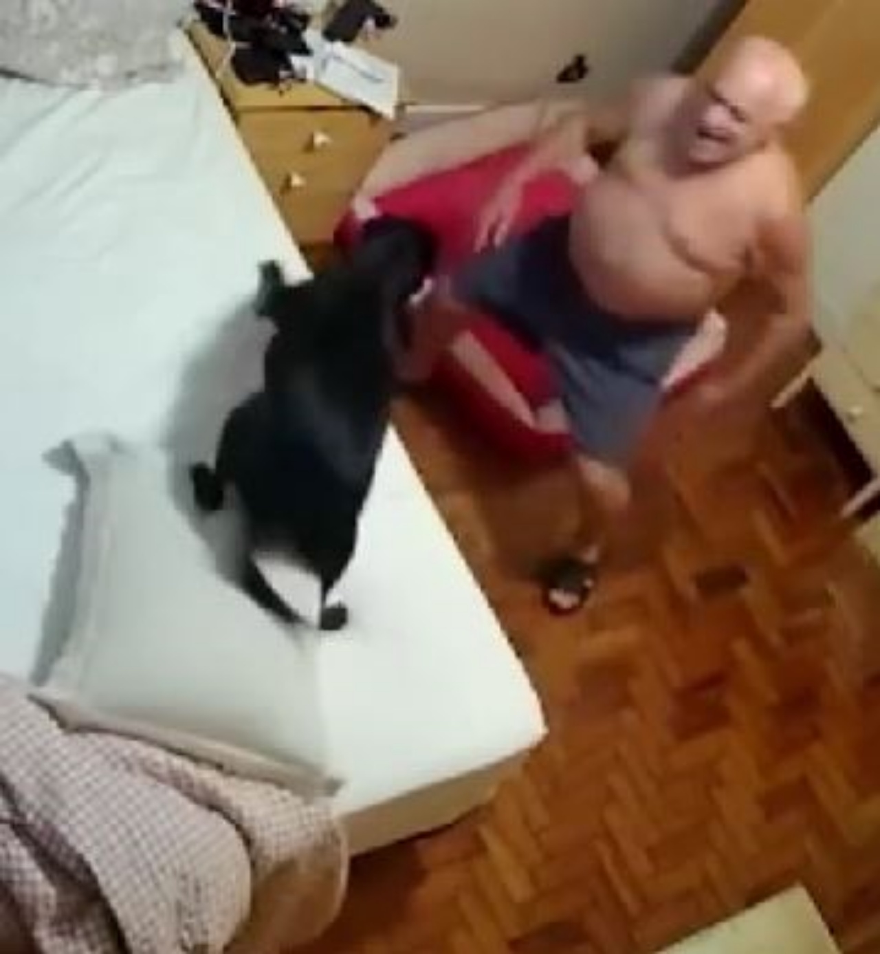 Un uomo che gioca in camera con un cane nero