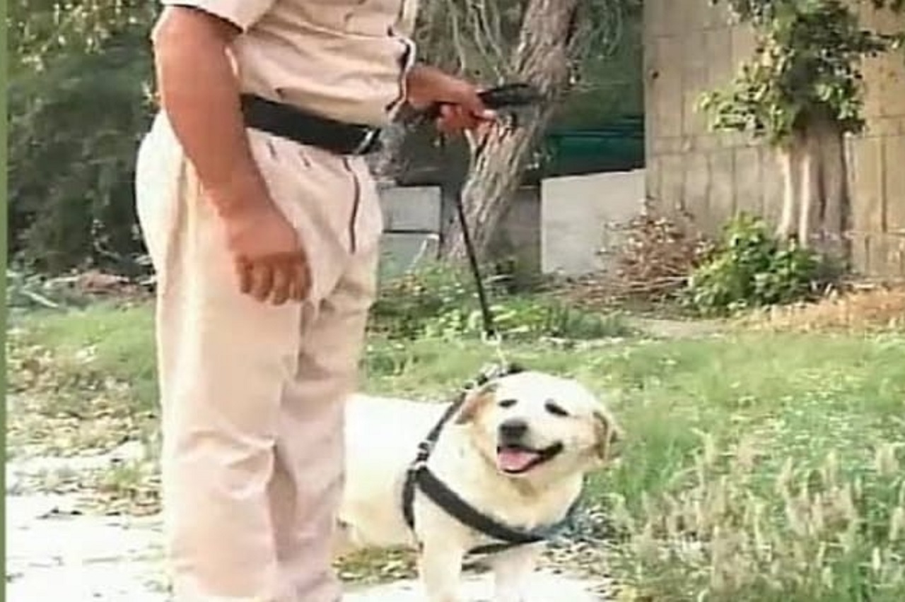Cane con l'agente di polizia