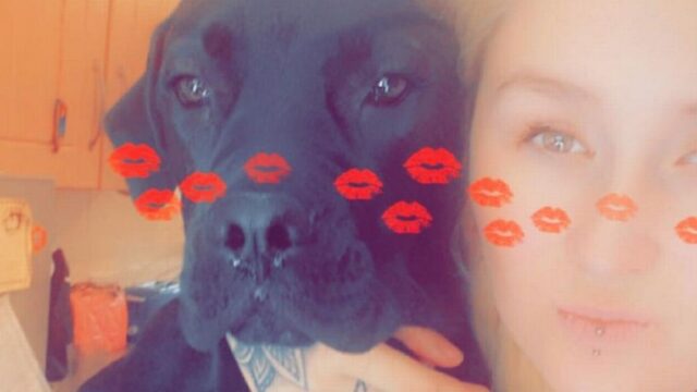 Cane rapito due volte nel giro di poco tempo: la storia di Reggie