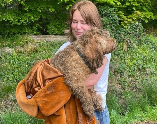 Cane ritorna dal proprietario dopo tre giorni trascorsi in un buco