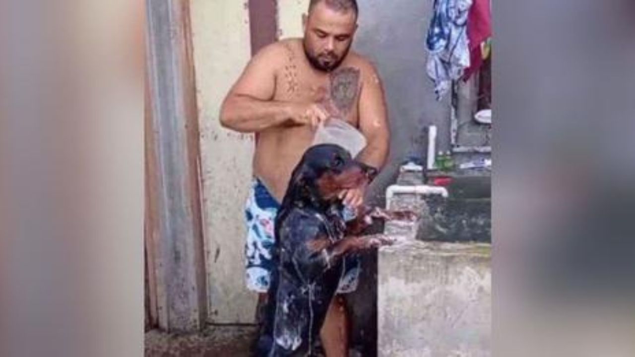 cane fa il bagno