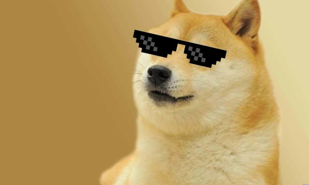 Shiba Inu meme