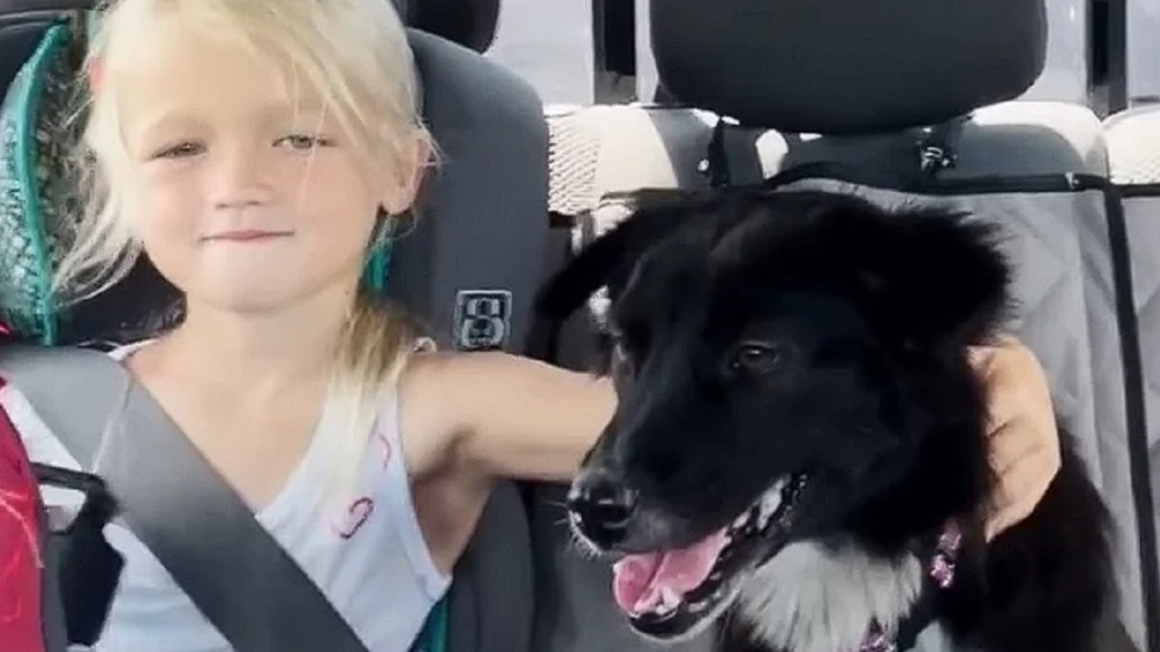 Bimba e cane seduti in auto