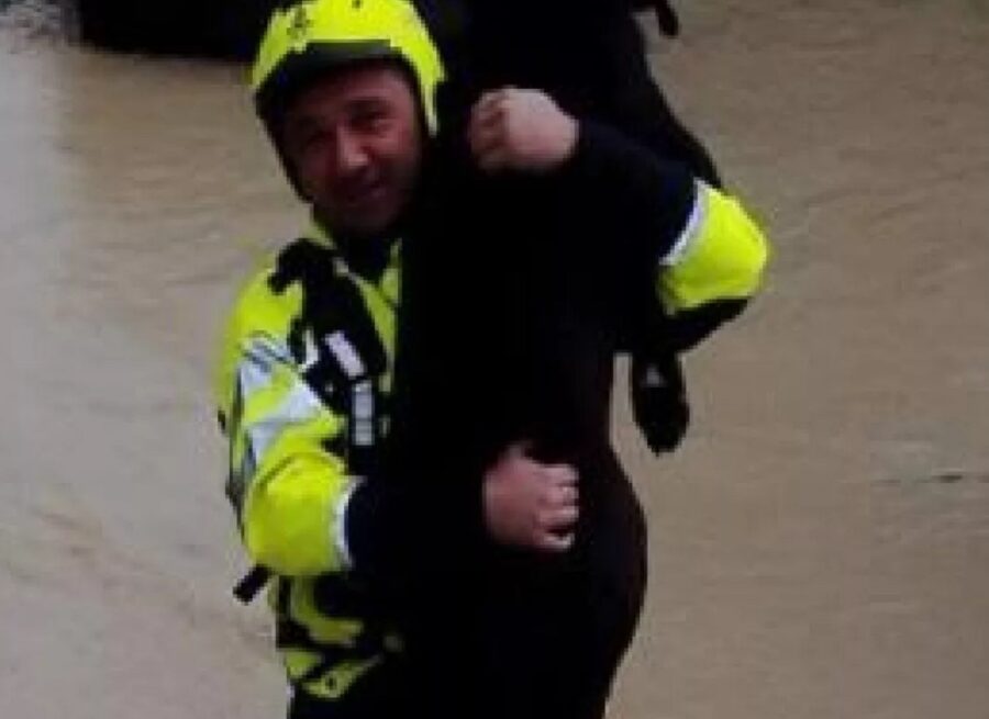 Cane in braccio al pompiere