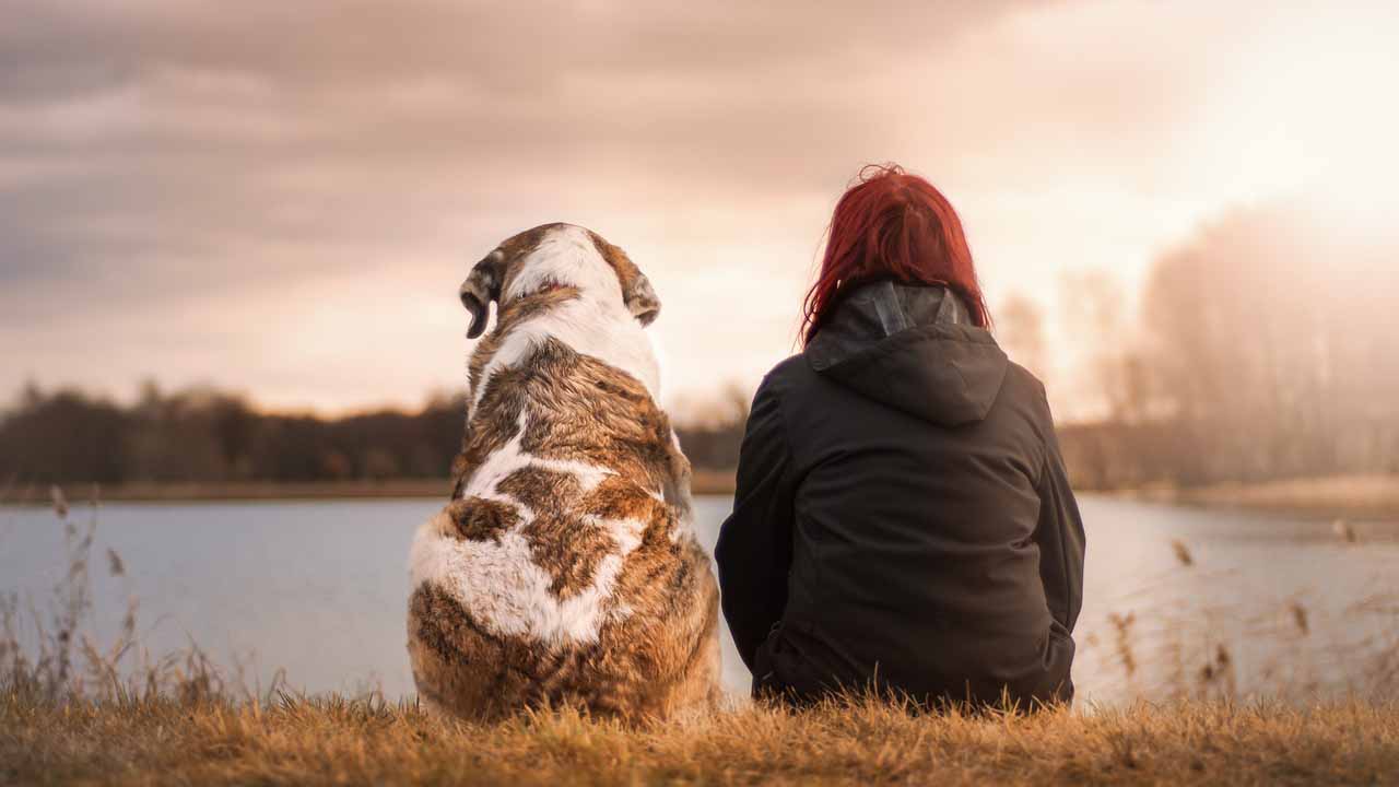 Ragazza seduta con il suo cane