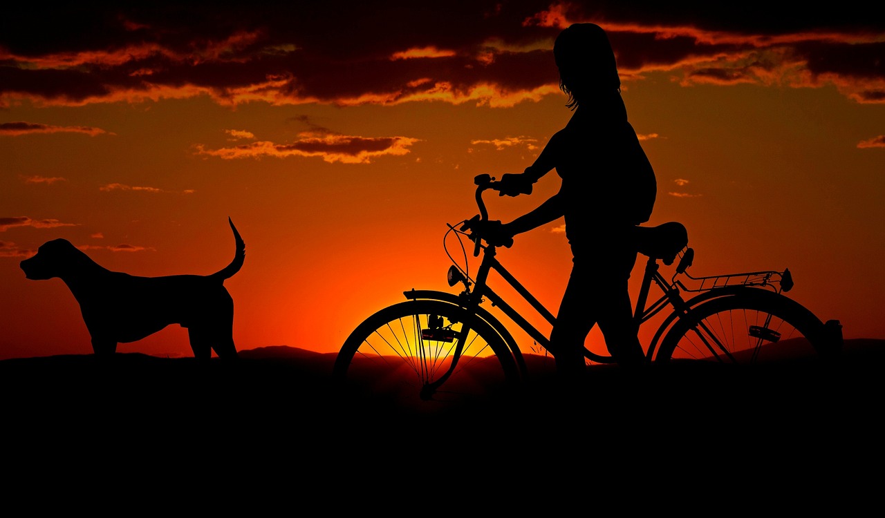 Cane in bicicletta con una donna