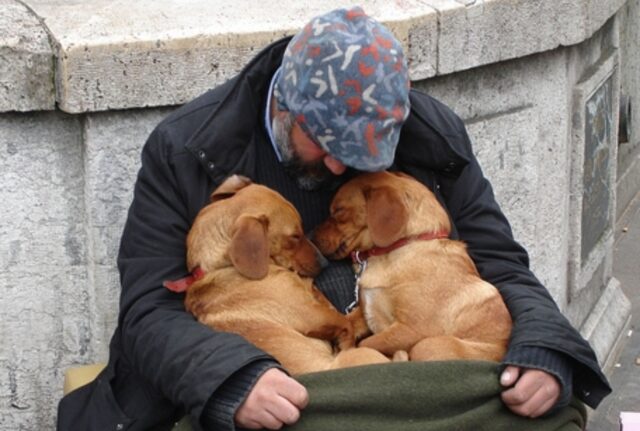 Questi due cani non lasciano il senzatetto: restano al suo fianco fino all’ultimo respiro