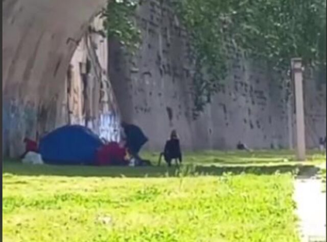 Uomo bastona un cane nella tendopoli di Roma: perché il cucciolo è rimasto lì?