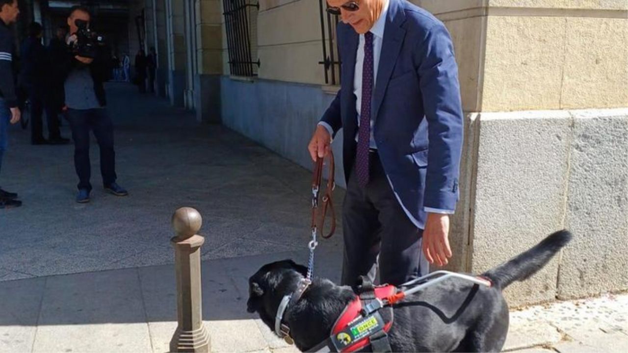 cane con padrone all'aperto