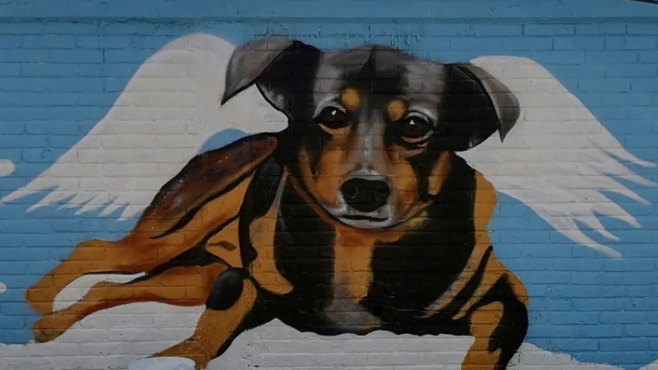 murales e cane