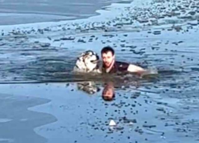 Il ragazzo coraggioso non ha esitato a saltare nel lago ghiacciato pur di salvare il cane in pericolo