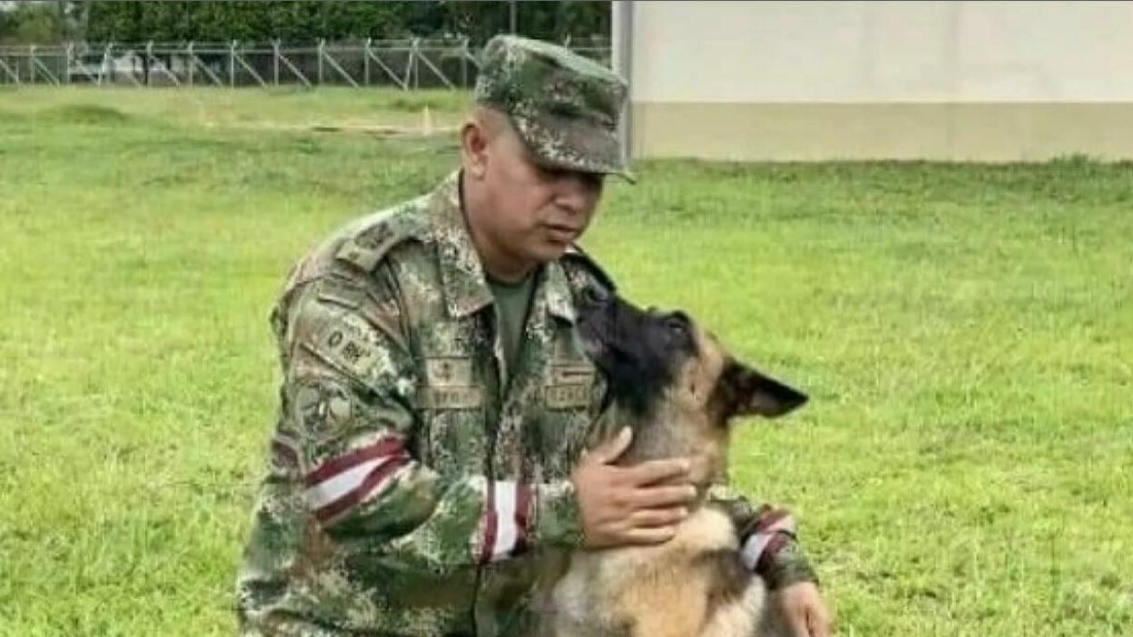 cane e esercito