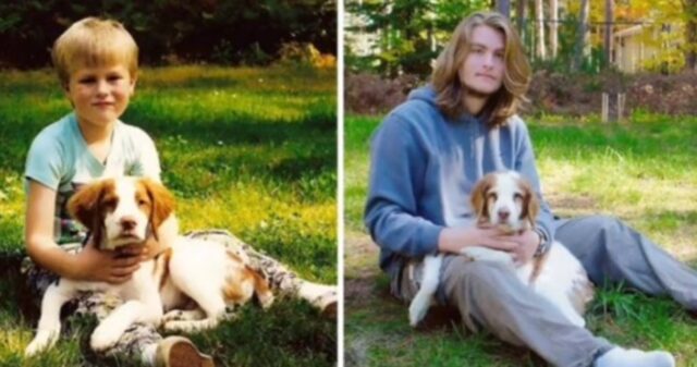 Prima e dopo: queste foto mostrano cani e padroni che crescono insieme
