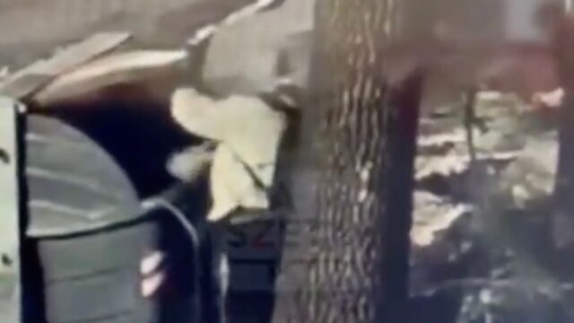 Questa donna ha gettato il suo cucciolo di cane nel cassonetto, ma c’è un video che la incastra