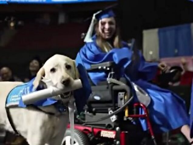 Questo cane si è laureato insieme alla sua padrona: non hanno mai saltato neanche una lezione